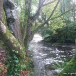 Photo of the Roogagh river in County Fermanagh Ireland. Pictures of Irish whitewater kayaking and canoeing. LOWER FALLS.