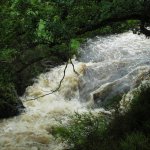 Photo of the Avonmore (Annamoe) river in County Wicklow Ireland. Pictures of Irish whitewater kayaking and canoeing. jacksons 5pm 5/07/08
no-one fancied it.. Photo by s.fahy